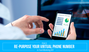 Virtual Phone Number